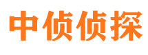 将乐找人公司